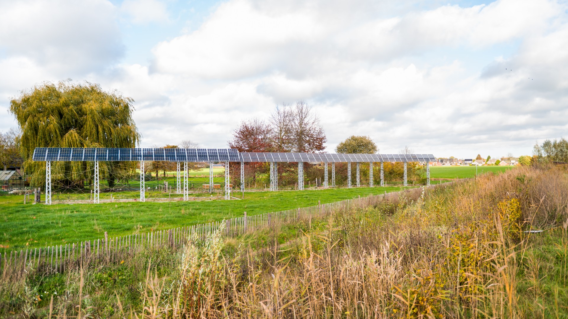 Privacy én duurzame energie met kunstzinnige zonnehagen